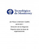 Tipos de organizaciones y ejemplos