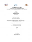 Organización y Métodos