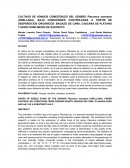 CULTIVOS DE HONGOS COMESTIBLES DEL GENERO PLEUROTUS OSTREATUS