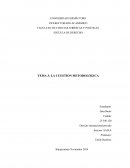 La cuestión metodologica