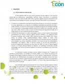 Presentación EIA PCH San Eugenio