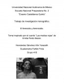 Femicidio y feminicidio