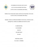 Mejora continua de procesos productivos para la potenciacion de pequeñas y medianas empresas de manufactura