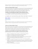 ¿Qué es el Plato del Bien Comer?