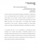 Minera Yanacocha: Impacto ambiental