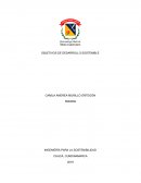 Articulo de analisis sostenibilidad