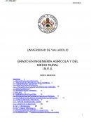 Mantenimiento del jardin publico "Maria de las Mercedes"