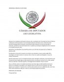 INICIATIVA DE CREACIÓN DE UN CAPITULO EN LA LEY ESTATAL DE SALUD EN EL ESTADO DE NUEVO LEÓN