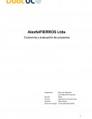 AlexfelFIERROS Ltda. Economía y evaluación de proyectos