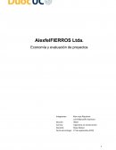 AlexfelFIERROS Ltda. Economía y evaluación de proyectos