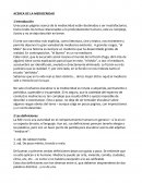 Acerca de la mediocridad. El mediocre y su ventajismo