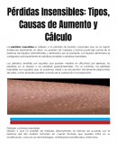 Pérdidas Insensibles: Tipos, Causas de Aumento y Cálculo