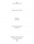 BRIEF (UCHUVA DESHIDRATADA)