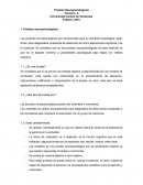 Resumen de pruebas neuropsicologicas