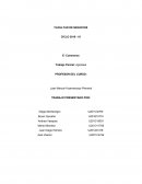 E- Commerce Trabajo Parcial: Agroidea