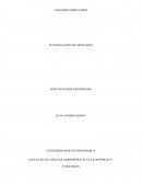 ANÁLISIS FORMULARIO INVESTIGACIÓN DE MERCADOS