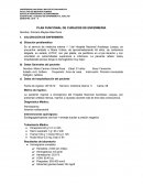 Plan funcional de cuidados de enfermería