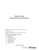 Proyecto: Eco Invernadero