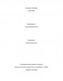 Evaluacion intermedia aprendizaje