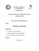 Qué es una holding comercial
