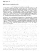 Modelos de la mente de John Gedo y Arnold Goldberg