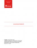 APLICACIÓN SOFTWARE ERP