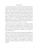 El estadio del espejo