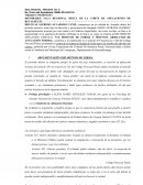 Recurso de Apelación Especial