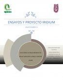 ENSAYOS Y PROYECTO IRIDIUM