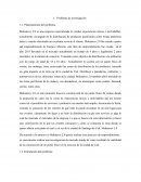 Mercadeo investigacion de Mercado