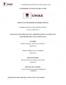 INFLUENCIA DEL DOCENTE EN EL APRENDIZAJE DE UN ALUMNO CON NECESIDADES EDUCATIVAS ESPECIALES