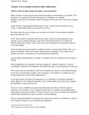 Avispas: si no te gustan al menos debes admirarlas