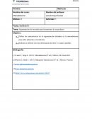 Segmentación de mercados para lanzamiento de un producto