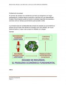 Problema de la escasez