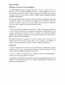 Moral y Religión. Definición a través de sus raíces etimológicas