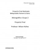 Proyecto Final Realizado: Melquisedec Romero Liriano