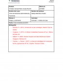 Análisis del caso (Telmex)