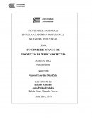 Proyecto mercadotecnia. Caso BatterySun Glasses