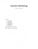 Gestión Marketing “Examen Transversal”