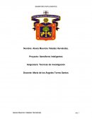 Semaforos Inteligentes