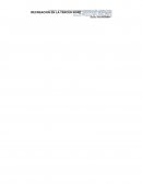 Tercera edad o adultos mayores - Proyectos culturales para la tercera edad en la localidad de América