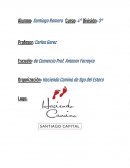 TRABAJO DE UNA ORGANIZACIÓN SOCIAL