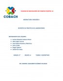 FUNCIÓN DE LAS PROTEINAS
