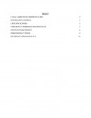 Canal Abierto de Sedimentación "CAS"