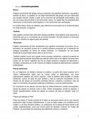 Sismo. Temblor