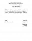 Elaboración de abono orgánico para la diferenciación del rendimiento de la producción en un cultivo de ají dulce, utilizando biofertilizante orgánico y fertilizantes inorgánicos