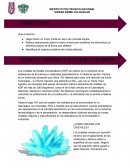Practica de química crecimiento de cristal