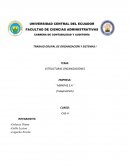 ESTRUCTURAS ORGANIZACIONES EMPRESA: ´´MIRKPAS S.A´´