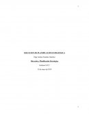 Tarea de direccion y planificacion estrategica