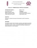 Practica 10:” FERMENTACIÓN A PARTIR DE LEVADURAS”